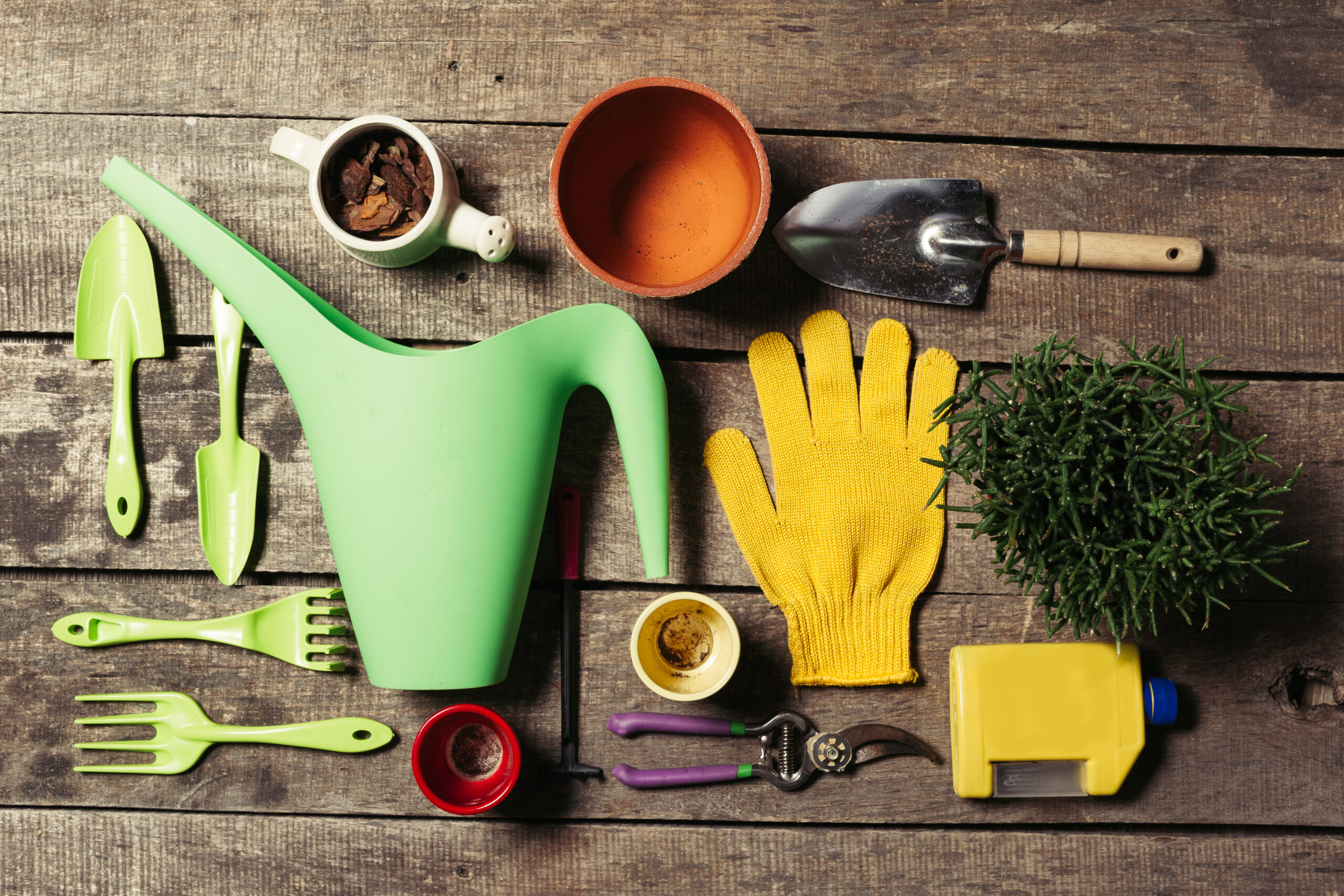 Finding the Perfect Match: Choosing Equipment for Your Yard’s Unique Layout